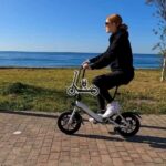 Fiido D3 Pro Review: Small and Daring E-Bike!