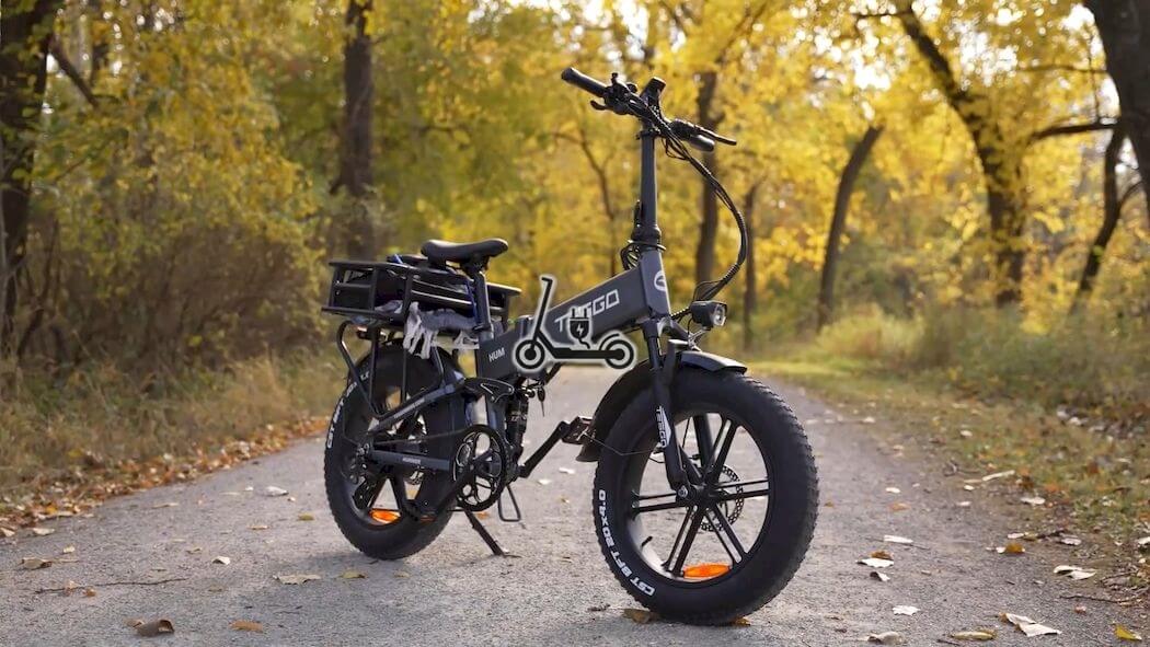 Bereiken zanger Renaissance Tesgo Hummer Review: Folding E-Bike With 1000W Power! -