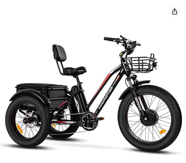 Addmotor Motan Electric Trike