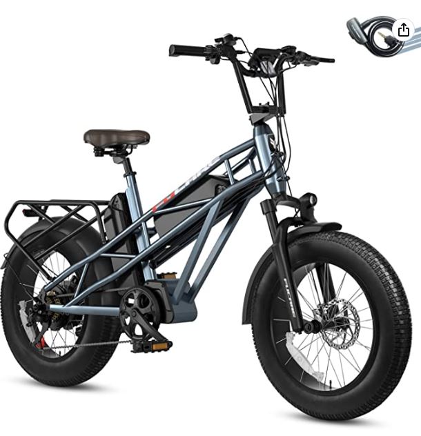 Fucare Gemini X Electric Bike