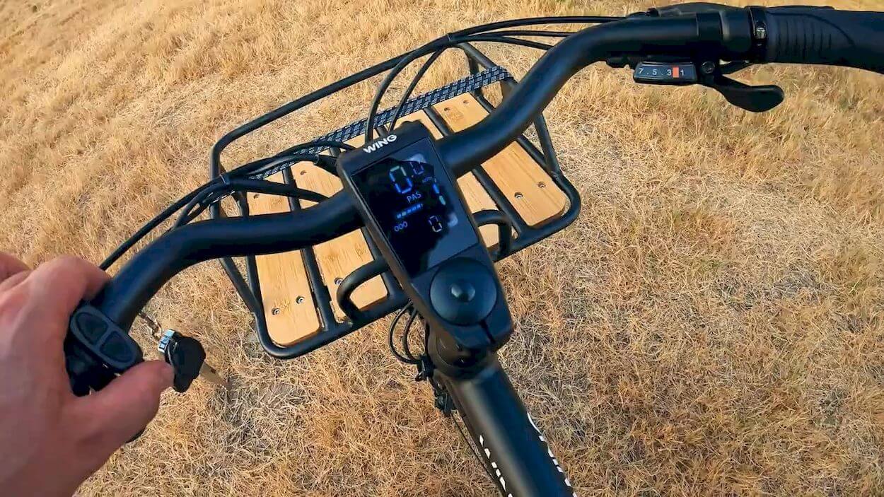 Wing Freedom X.2 Review: Handlebar and Display